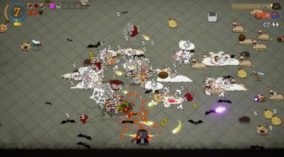 Screenshot of 9 Lives to Defend