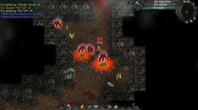 Screenshot of 9th Dawn II