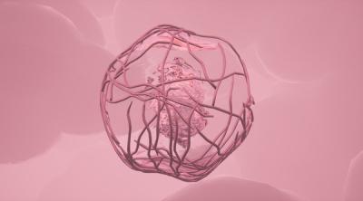 Screenshot of Anima