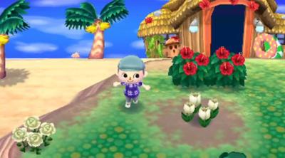 Screenshot of Animal Crossing: New Leaf
