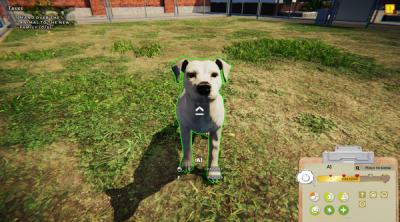 Screenshot of Animal Shelter Simulator