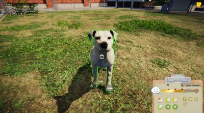 Capture d'écran de Animal Shelter Simulator