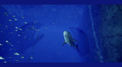 Screenshot of Aquarium at August 32nd VR