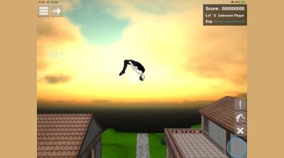 Screenshot of Backflip Madness