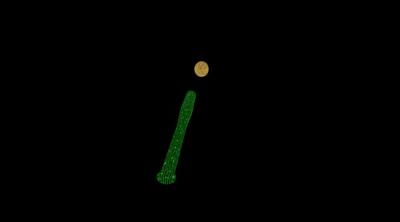 Screenshot of Bat & Ball
