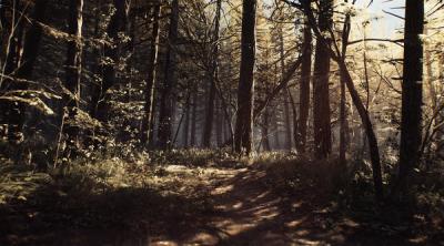 Capture d'écran de Blair Witch