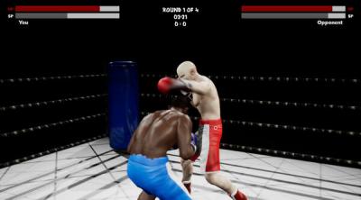 Screenshot of Boxing Simulator