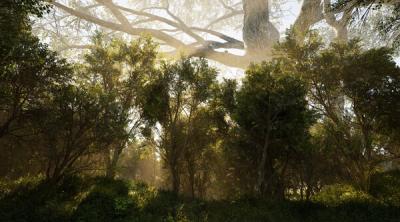 Screenshot of Calming Forest