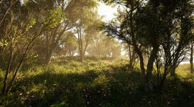 Screenshot of Calming Forest