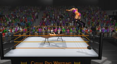 Screenshot of Casual Pro Wrestling