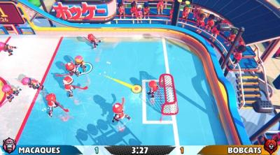 Screenshot of Casual Sport Series: Hockey