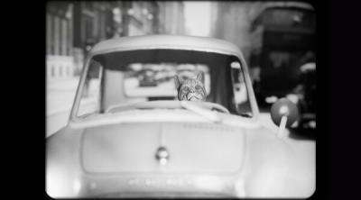 Screenshot of Cat Detective Albert Wilde