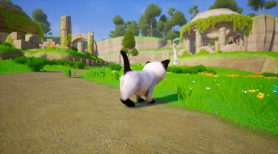 Screenshot of Cat Go! Ultimate Challenge