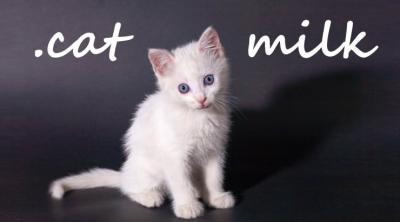 Logo of .cat Milk