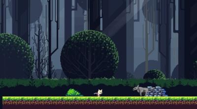 Screenshot of Cat Runner