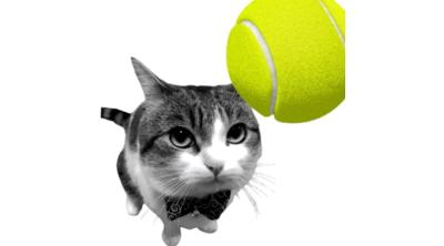Logo of Cat Tennis