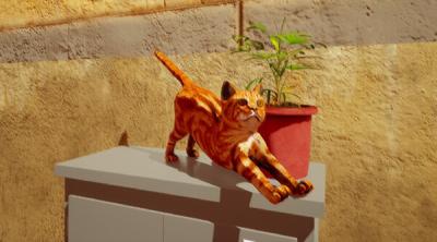 Screenshot of Catniptic