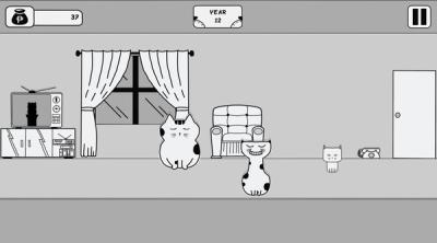 Screenshot of Cat's Vote