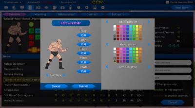 Screenshot of Championship Wrestling Promoter