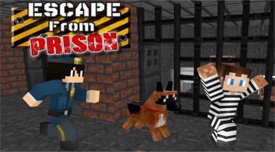 Screenshot of Cops Vs Robbers: Jail Break