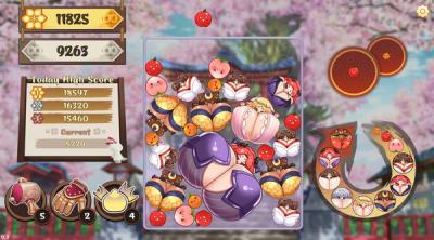 Screenshot of Cute Suika: Big Watermelon