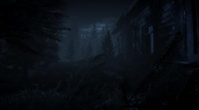 Screenshot of Dark Survival