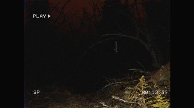 Screenshot of Deeply Dark: Found Footage