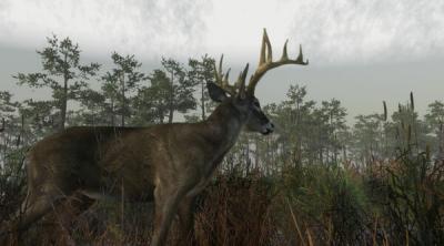 Screenshot of Deer Hunting Camp