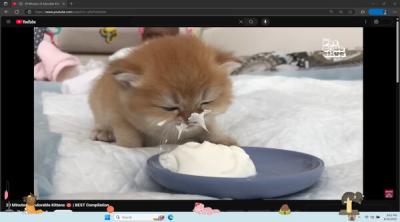 Capture d'écran de Digital Desktop Cats