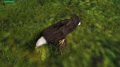 Screenshot of Eagle Hunting Journey