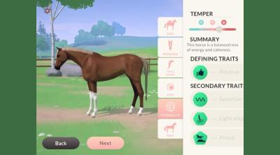 Screenshot of Equestrian the Game