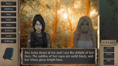 Screenshot of Eyes of Rain