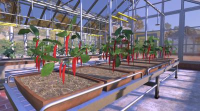 Screenshot of Farmer's Dynasty