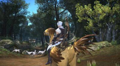 Screenshot of FINAL FANTASY XIV Online Starter Edition