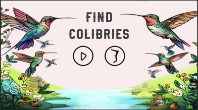 Capture d'écran de Find Colibries