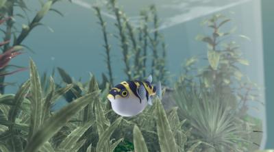 Screenshot of FISHERY