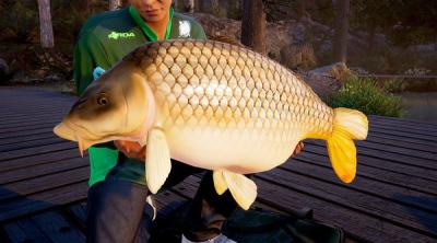 Screenshot of Fishing Sim World  Quad Lake Pass