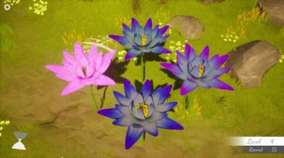 Screenshot of Flower Memories