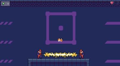 Screenshot of Gninja Pig