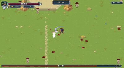 Screenshot of Hack and Shoot Heroes