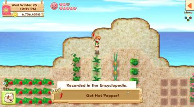 Screenshot of Harvest Moon: Light of Hope Special Edition Complete