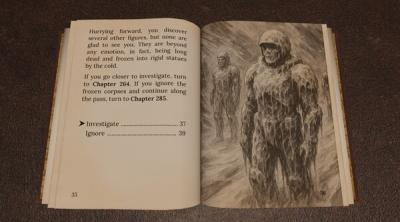 Screenshot of Heart of Ice by Dave Morris