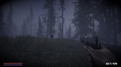 Screenshot of Horror in the forest