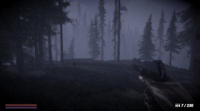 Screenshot of Horror in the forest