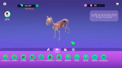 Screenshot of IDLE Animal Anatomy