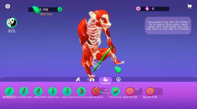 Screenshot of IDLE Animal Anatomy