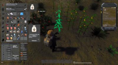 Screenshot of IlhaZ