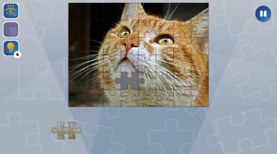 Screenshot of Jigsaw Puzzle Fever