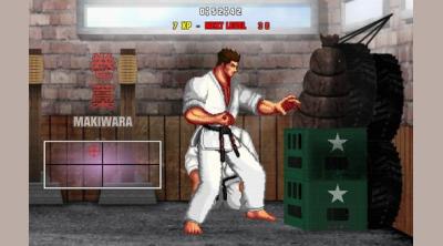 Screenshot of Karate Master 2 Knock Down Blow