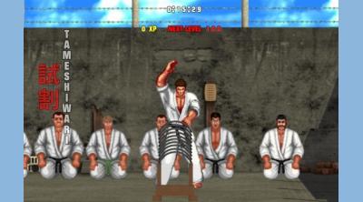 Screenshot of Karate Master 2 Knock Down Blow